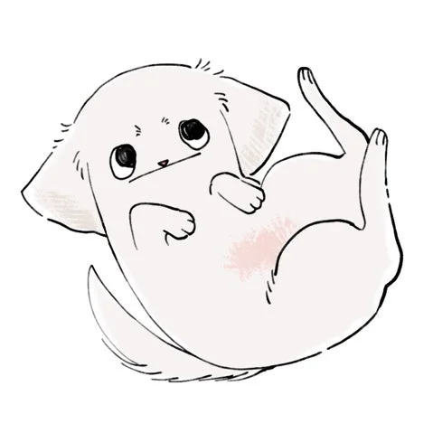 網戸スズ先生のコメント