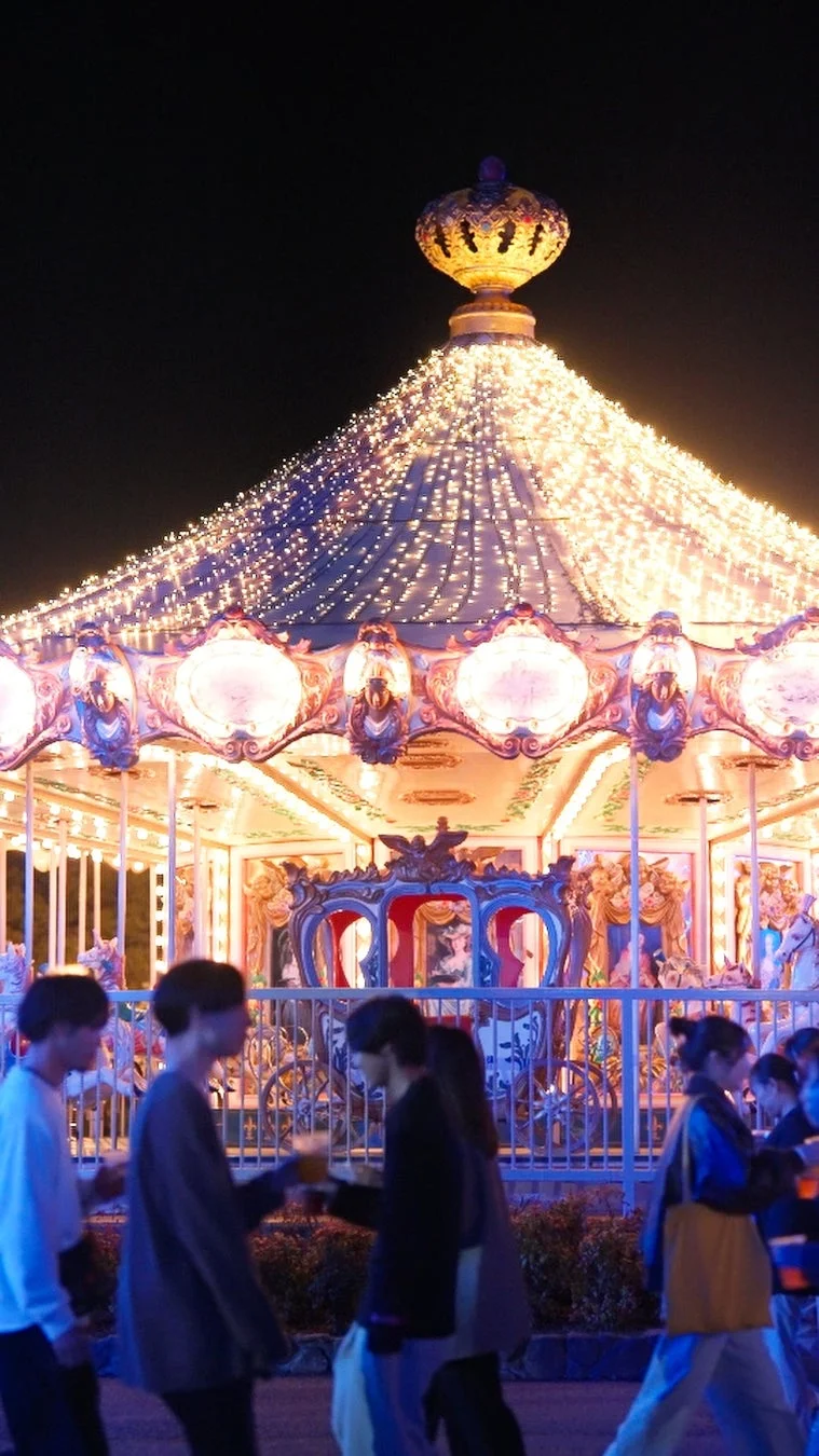 夜のメリーゴーランドが輝く遊園地の様子